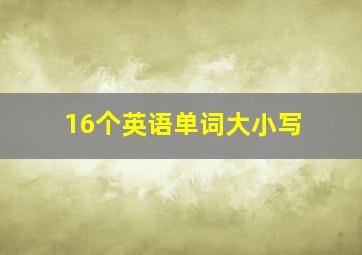 16个英语单词大小写