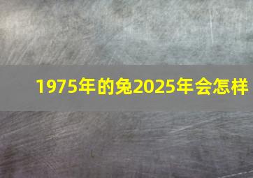 1975年的兔2025年会怎样