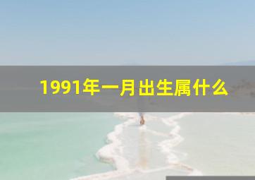 1991年一月出生属什么