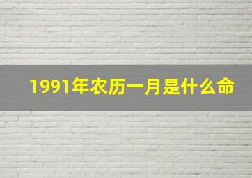 1991年农历一月是什么命