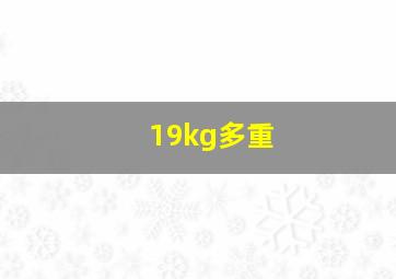 19kg多重