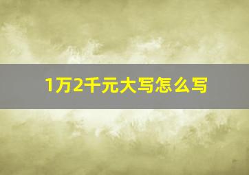 1万2千元大写怎么写