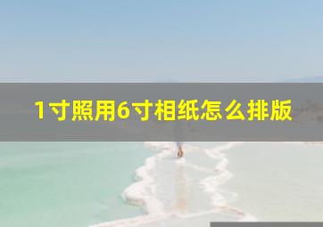 1寸照用6寸相纸怎么排版