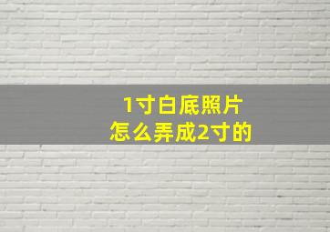 1寸白底照片怎么弄成2寸的