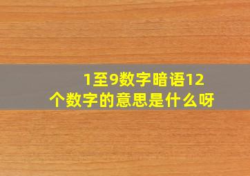 1至9数字暗语12个数字的意思是什么呀