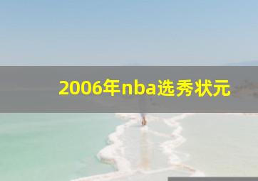 2006年nba选秀状元