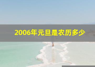 2006年元旦是农历多少