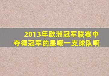 2013年欧洲冠军联赛中夺得冠军的是哪一支球队啊