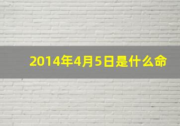 2014年4月5日是什么命