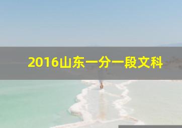 2016山东一分一段文科