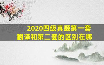 2020四级真题第一套翻译和第二套的区别在哪