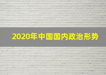 2020年中国国内政治形势