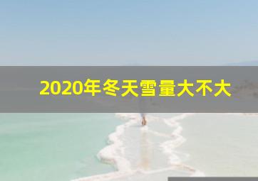 2020年冬天雪量大不大