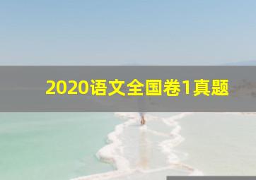 2020语文全国卷1真题