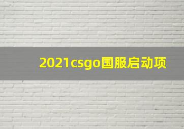 2021csgo国服启动项