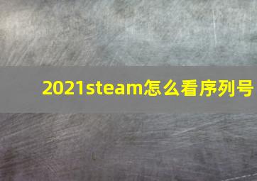 2021steam怎么看序列号