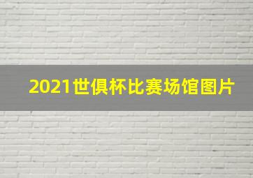 2021世俱杯比赛场馆图片