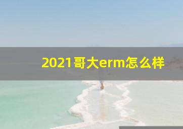 2021哥大erm怎么样