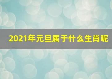 2021年元旦属于什么生肖呢