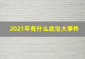 2021年有什么政治大事件