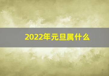 2022年元旦属什么