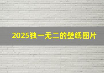 2025独一无二的壁纸图片