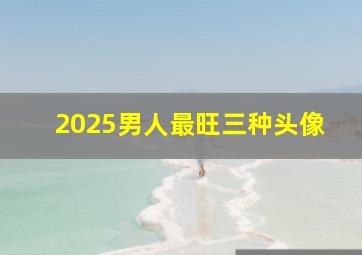 2025男人最旺三种头像