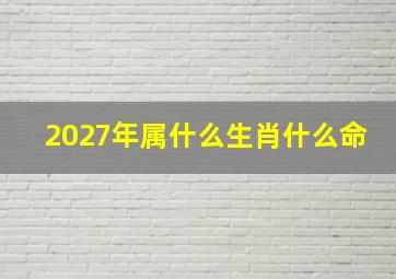 2027年属什么生肖什么命