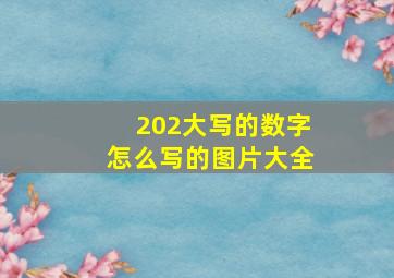 202大写的数字怎么写的图片大全