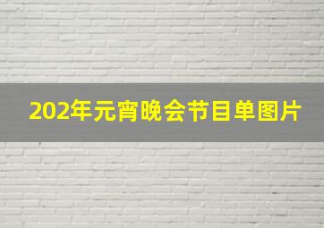 202年元宵晚会节目单图片