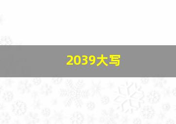 2039大写