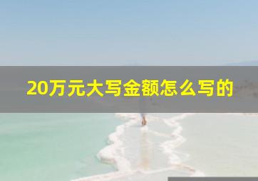 20万元大写金额怎么写的