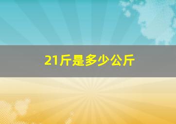 21斤是多少公斤