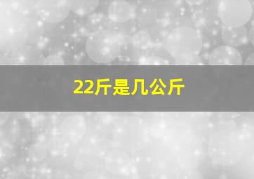 22斤是几公斤