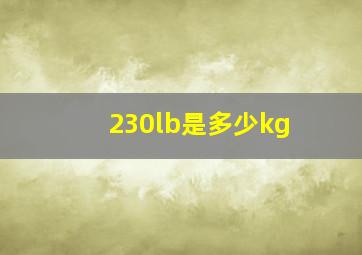 230lb是多少kg