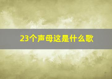 23个声母这是什么歌