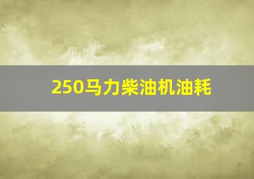 250马力柴油机油耗