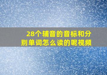 28个辅音的音标和分别单词怎么读的呢视频