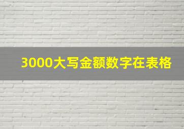 3000大写金额数字在表格