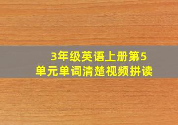 3年级英语上册第5单元单词清楚视频拼读