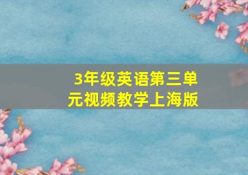 3年级英语第三单元视频教学上海版