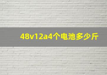 48v12a4个电池多少斤