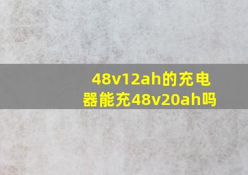 48v12ah的充电器能充48v20ah吗