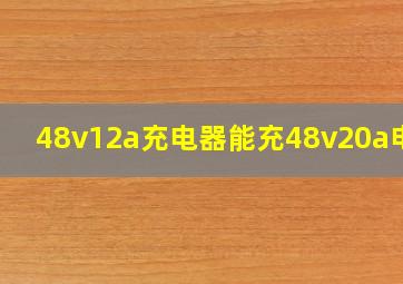 48v12a充电器能充48v20a电池