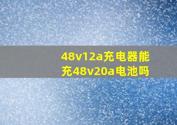 48v12a充电器能充48v20a电池吗