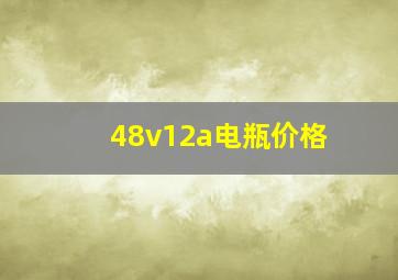 48v12a电瓶价格