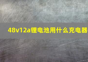 48v12a锂电池用什么充电器