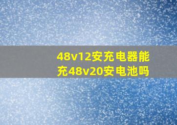 48v12安充电器能充48v20安电池吗