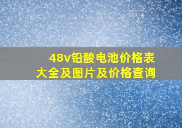 48v铅酸电池价格表大全及图片及价格查询