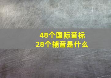 48个国际音标28个辅音是什么